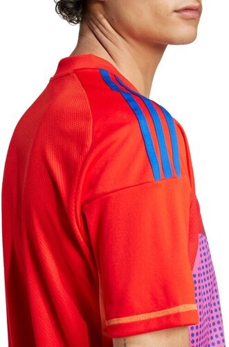 adidas Performance-Adidas Juventus Maglia Home Portiere 2024/2025-4