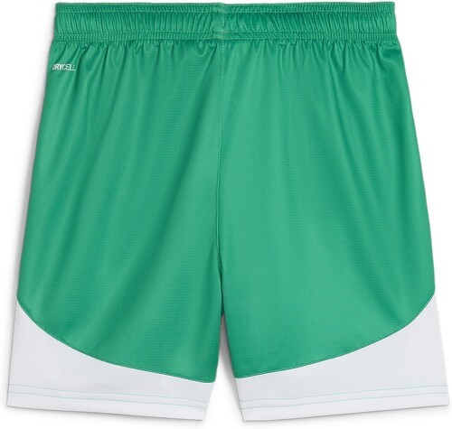 PUMA-Short de football SK Rapid Wien Enfant et Adolescent-1