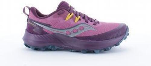 SAUCONY-Peregrine 14-image-1