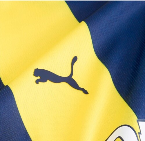 PUMA-Fenerbahce Istanbul Maillot Domicile 2024/2025-4