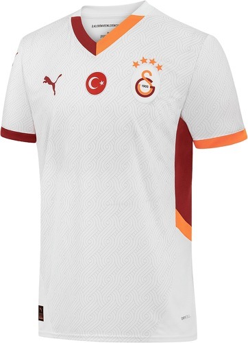 PUMA-Puma Extérieur Galatasaray 2024-2025-image-1