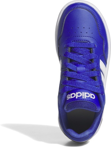 adidas Performance-Chaussure Hoops-4