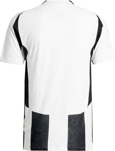 adidas-Maillot Juventus Domicile Authentique 2024/2025-1