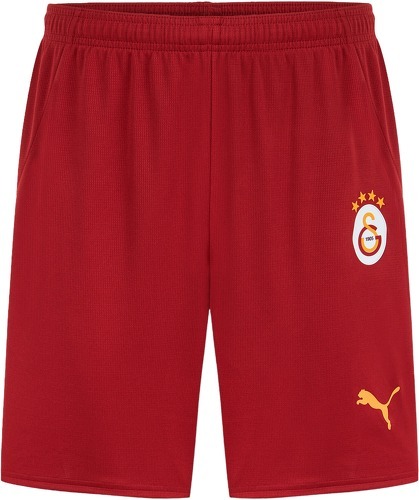 PUMA-Puma Kit Domicile Galatasaray 2024-2025-0