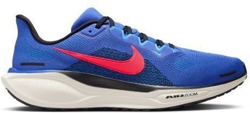 NIKE-Pegasus 41-0