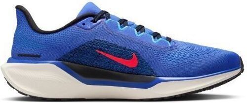 NIKE-Pegasus 41-1