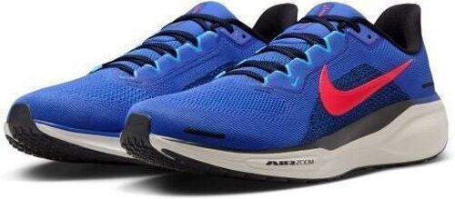 NIKE-Pegasus 41-3