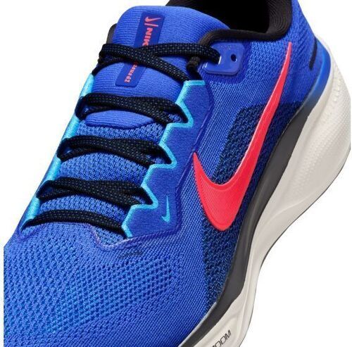 NIKE-Pegasus 41-4