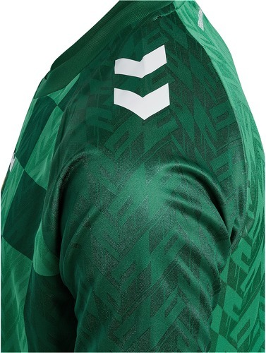 HUMMEL-SV Werder Bremen maillot domicile  2024/2025-3