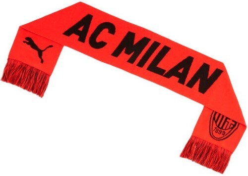 PUMA-Puma AC Milan 2024-2025-1