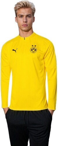 PUMA-Puma Borussia Dortmund Training 2024-2025-0