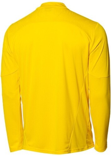 PUMA-Puma Borussia Dortmund Training 2024-2025-3