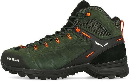 SALEWA-MS Alp E Ptx-0