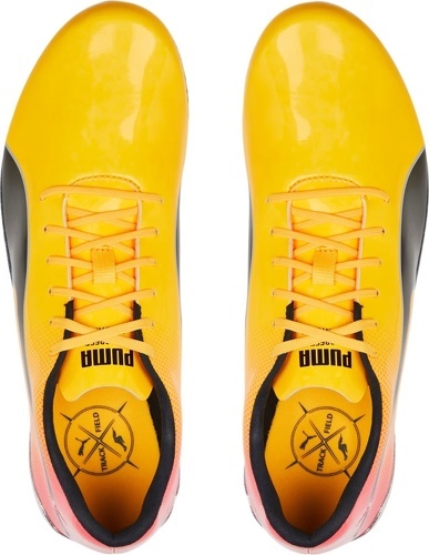 PUMA-EvoSpeed Electric 13-3