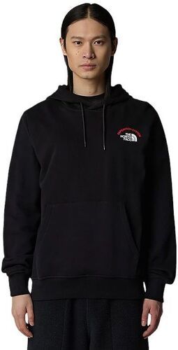 THE NORTH FACE-Pull Hoodie Expedition System Graphic-2