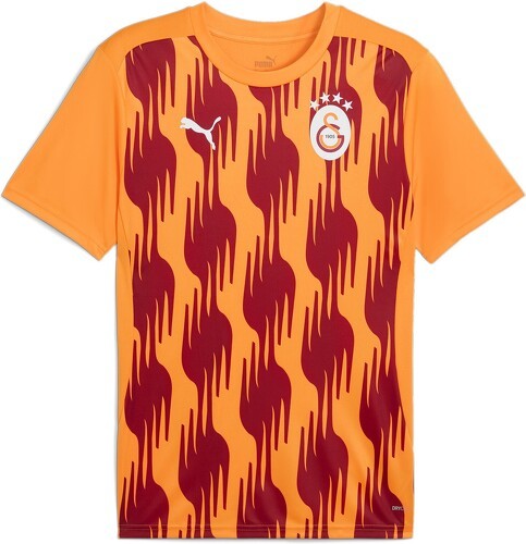 PUMA-Puma Galatasaray Pre-Match 2024-2025-image-1