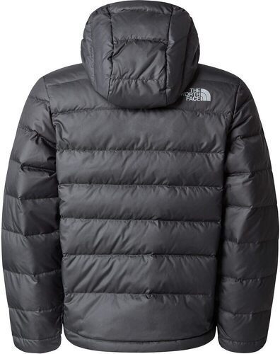 THE NORTH FACE-B NEVER STOP DOWN JACKET-1