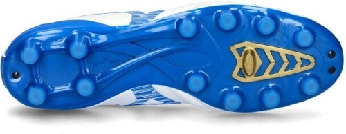 MIZUNO-Fresh Foam X 1080v11-2