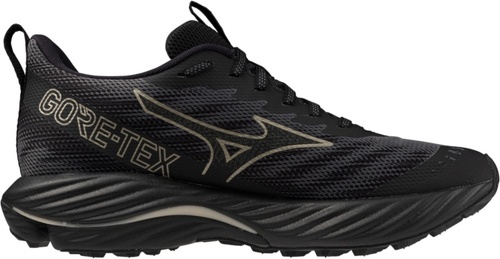 MIZUNO-Wave Rider Gtx 2-2