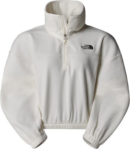 THE NORTH FACE-W 100 GLACIER HALF ZIP FLEECE-0