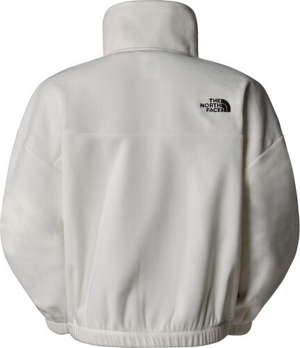 THE NORTH FACE-W 100 GLACIER HALF ZIP FLEECE-1