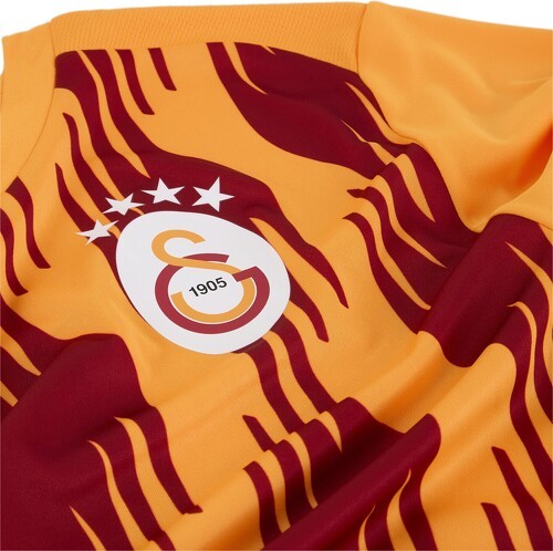 PUMA-Galatasaray S.K. Maillot d’avant-match à manches courtes Homme-2