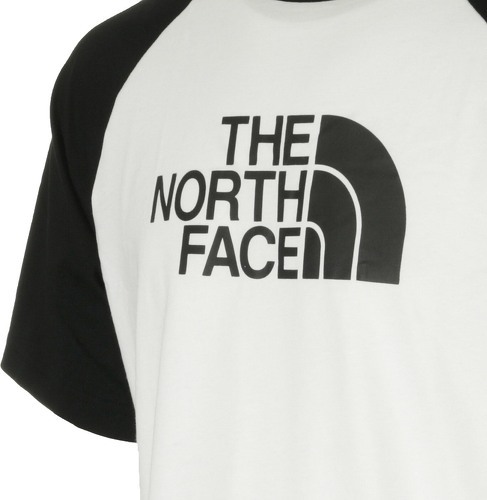 THE NORTH FACE-M Raglan Easy Tee-2