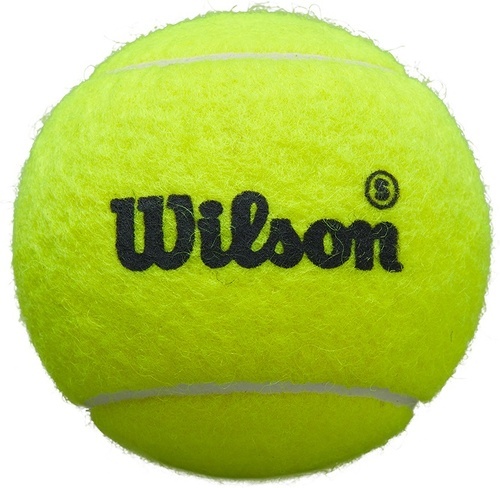 WILSON-Wilson Premier Padel Speed Balls Canister-2