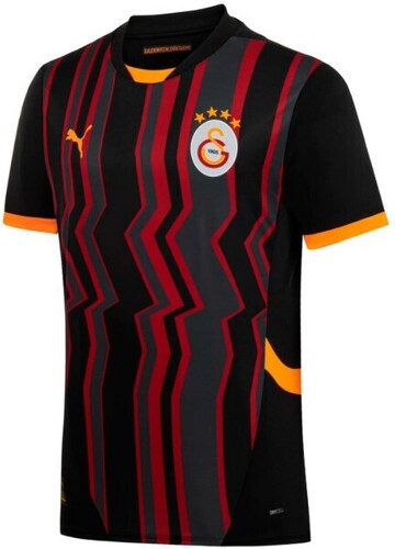 PUMA-Puma Galatasaray 2024-2025 Third-image-1