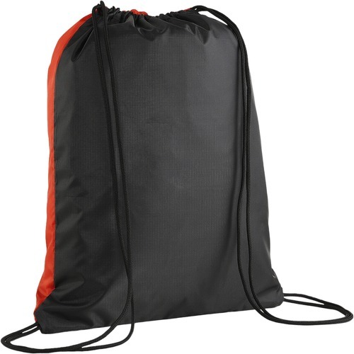 PUMA-teamGoal Gymbag-1