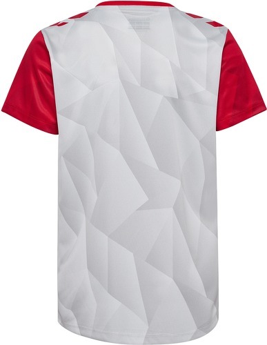 HUMMEL-1. FC Köln Prematch shirt 2024/2025-1