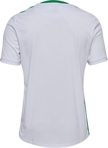 HUMMEL-As St. Etienne Maglia Third 2024/2025-1