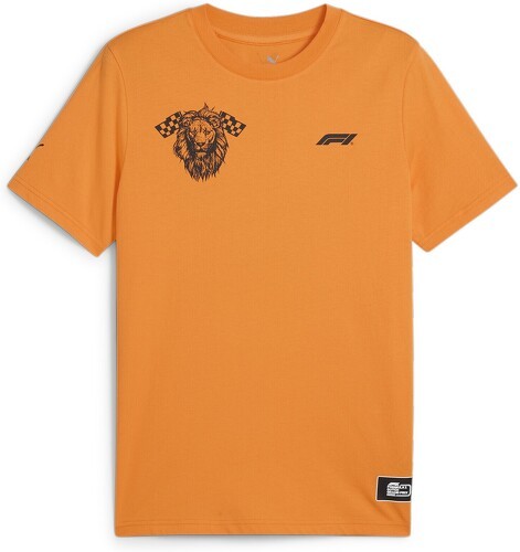 PUMA-T-Shirt Netherlands F1-0