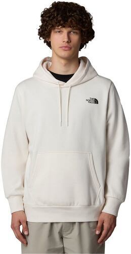 THE NORTH FACE-M HOOD LOGO P/O-0