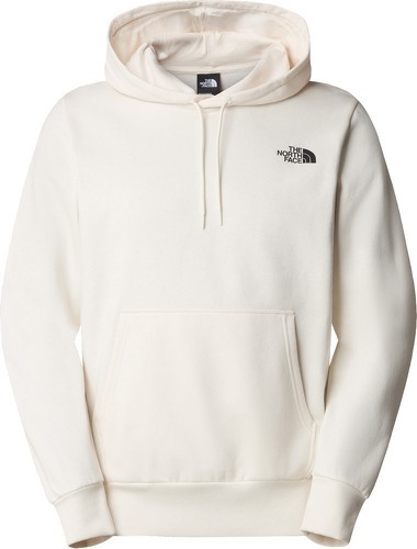 THE NORTH FACE-M HOOD LOGO P/O-2