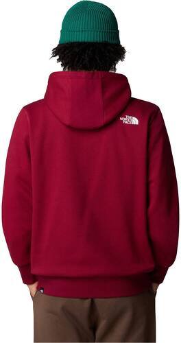 THE NORTH FACE-M SIMPLE DOME HOODIE-1