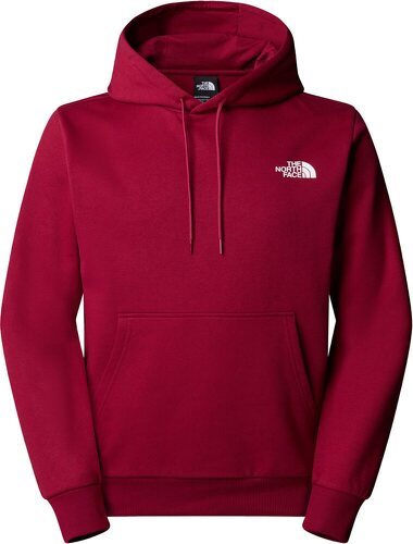 THE NORTH FACE-M SIMPLE DOME HOODIE-2