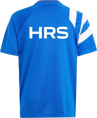 adidas-FC Schalke 04 Prematch shirt 2024/2025-1