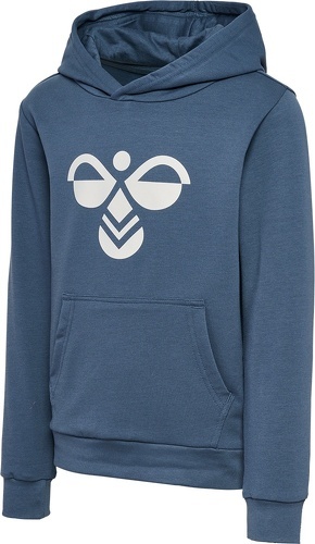 HUMMEL-Hmlcuatro Hoodie-0