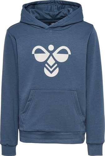 HUMMEL-Hmlcuatro Hoodie-2