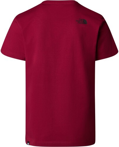 THE NORTH FACE-M S/S SIMPLE DOME TEE-1