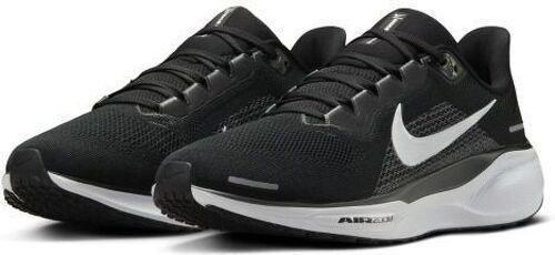 NIKE-Pegasus 41-2