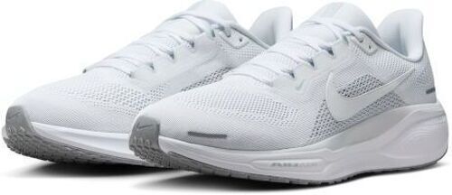 NIKE-Pegasus 41-2