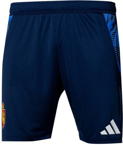 adidas-adidas Real Zaragoza Training 2024-2025 Joueurs-0