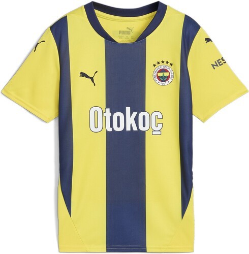 PUMA-Fenerbahce Istanbul Maillot Domicile 2024/2025-0