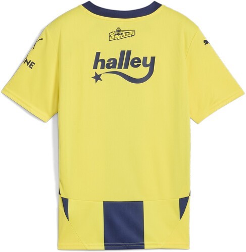 PUMA-Fenerbahce Istanbul Maillot Domicile 2024/2025-1