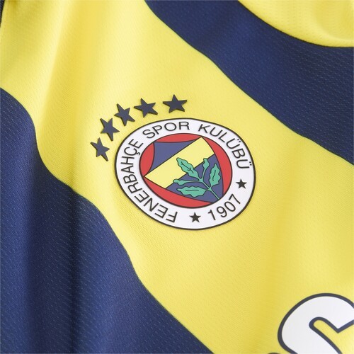 PUMA-Fenerbahce Istanbul Maillot Domicile 2024/2025-2