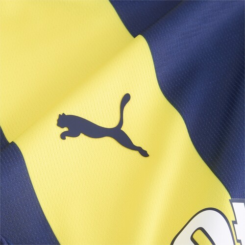 PUMA-Fenerbahce Istanbul Maillot Domicile 2024/2025-3