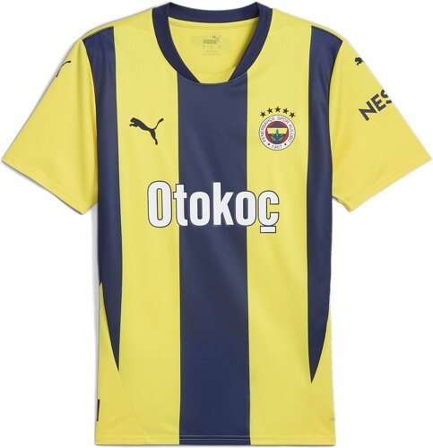 PUMA-Fenerbahce Istanbul Maillot Domicile 2024/2025-0