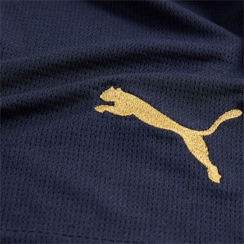 PUMA-Short de football Stade de Reims Homme-3